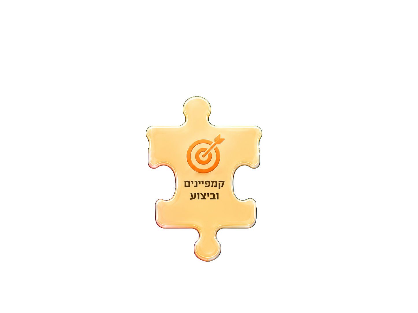 קמפיינים וביצוע